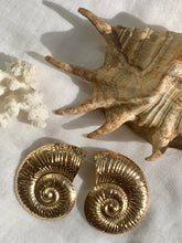 Charger l'image dans la galerie, Boucles d’oreilles coquillage Shella