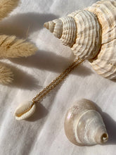 Charger l&#39;image dans la galerie, Collier coquillage Ondine