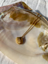 Charger l&#39;image dans la galerie, Collier coquillage Océane