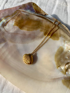 Collier coquillage Océane