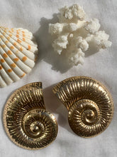 Charger l'image dans la galerie, Boucles d’oreilles coquillage Shella